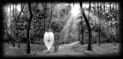 Untitled-1