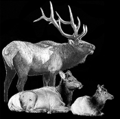 Untitled-1
