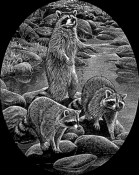 Untitled-1