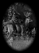 Untitled-1