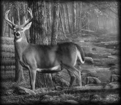Untitled-1
