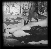 Untitled-1
