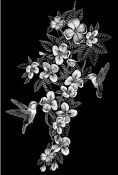 Untitled-1