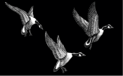 Untitled-1