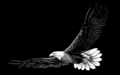 Untitled-1