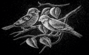Untitled-1