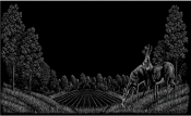 Untitled-1