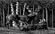 Untitled-1