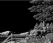Untitled-1