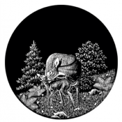 Untitled-1