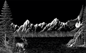 Untitled-1