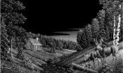 Untitled-1