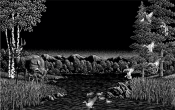 Untitled-1