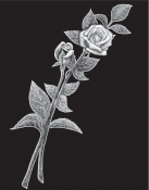 Untitled-1